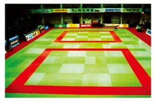 衡水柔道垫批发，全国认准篮鲸品牌，优质体育器材专业之选