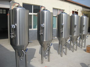 明博小型啤酒设备 产品特色、加盟优势与器材批发指南